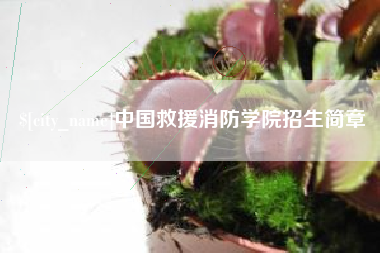 阳谷中国救援消防学院招生简章