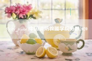 阳谷中国消防救援学院分数2020