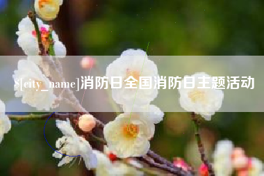 阳谷消防日全国消防日主题活动