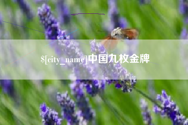 阳谷中国九枚金牌
