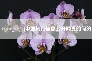 阳谷中国执行信息公开网真的假的