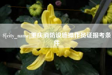 阳谷重庆消防设施操作员证报考条件
