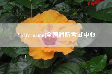 阳谷全国消防考试中心