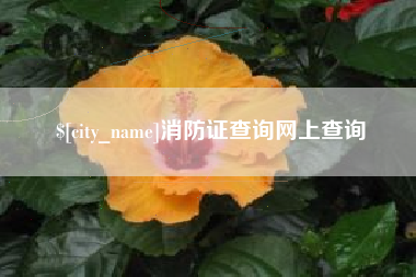阳谷消防证查询网上查询
