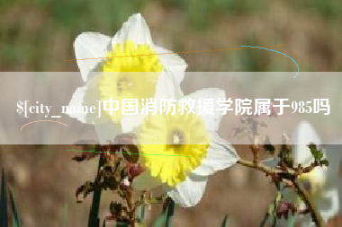 阳谷中国消防救援学院属于985吗