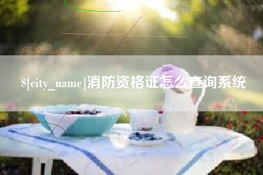 阳谷消防资格证怎么查询系统