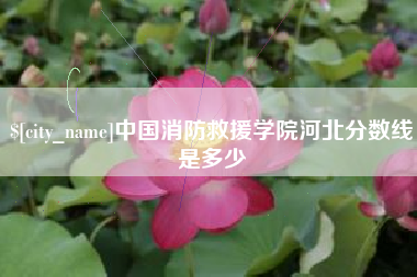 阳谷中国消防救援学院河北分数线是多少