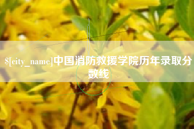 阳谷中国消防救援学院历年录取分数线