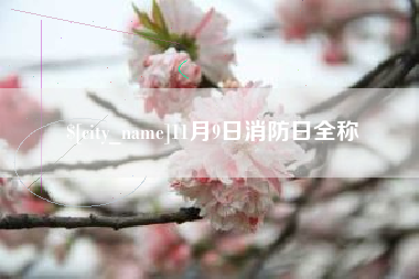 阳谷11月9日消防日全称