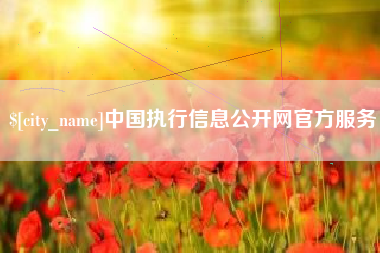 阳谷中国执行信息公开网官方服务