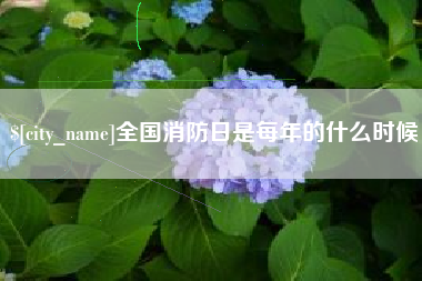 阳谷全国消防日是每年的什么时候