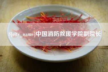 阳谷中国消防救援学院副院长