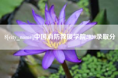 阳谷中国消防救援学院2020录取分
