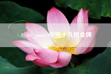 阳谷中国十九枚金牌
