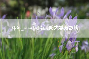 阳谷河南消防大学分数线