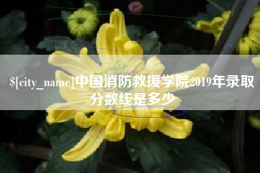 阳谷中国消防救援学院2019年录取分数线是多少