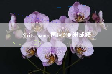 阳谷国内5000米成绩