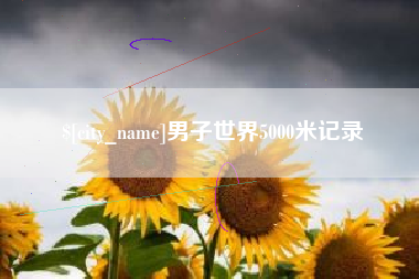 阳谷男子世界5000米记录
