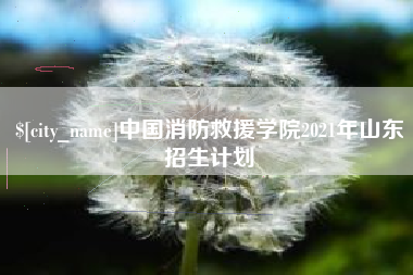 阳谷中国消防救援学院2021年山东招生计划