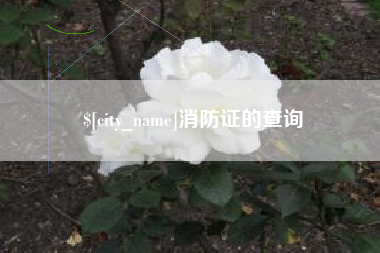 阳谷消防证的查询