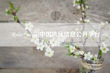 阳谷中国执行信息公开平台
