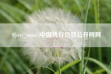 阳谷中国执行信息公开网网
