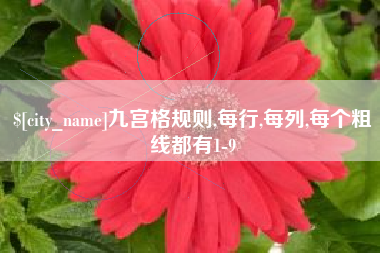 阳谷九宫格规则,每行,每列,每个粗线都有1-9