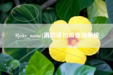 阳谷消防证初级查询系统