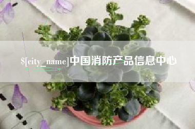 阳谷中国消防产品信息中心
