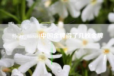 阳谷中国金牌得了几枚金牌