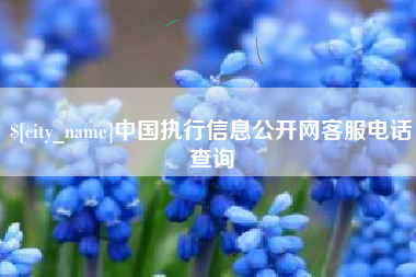 阳谷中国执行信息公开网客服电话查询