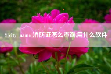 阳谷消防证怎么查询,用什么软件