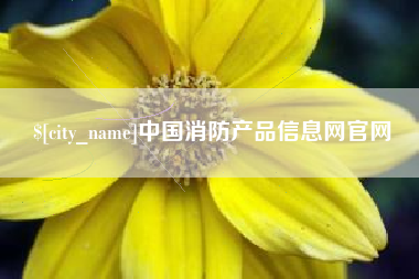 阳谷中国消防产品信息网官网