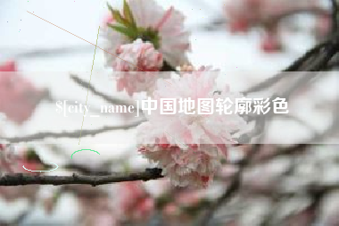 阳谷中国地图轮廓彩色