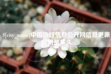 阳谷中国执行信息公开网信息更新时间是多久