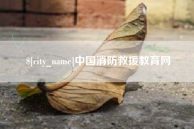 阳谷中国消防救援教育网