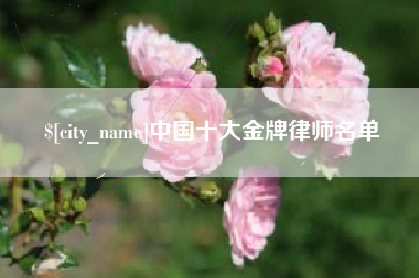 阳谷中国十大金牌律师名单