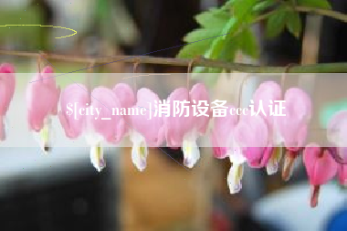 阳谷消防设备ccc认证