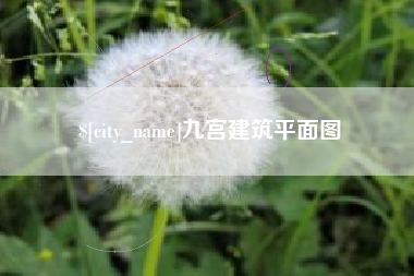 阳谷九宫建筑平面图