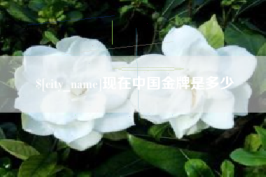 阳谷现在中国金牌是多少