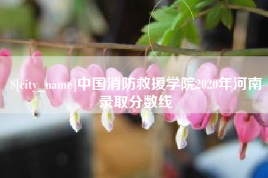 阳谷中国消防救援学院2020年河南录取分数线