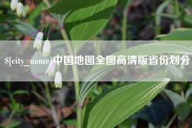 阳谷中国地图全图高清版省份划分