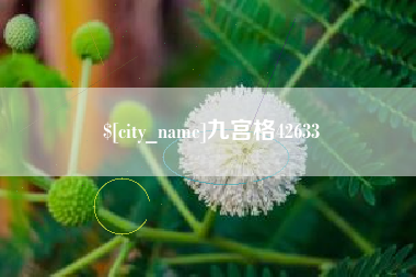 阳谷九宫格42633