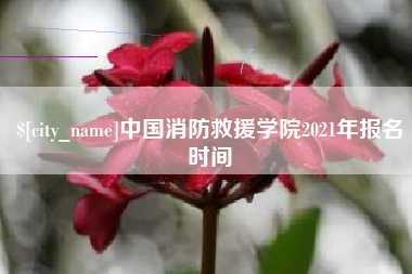 阳谷中国消防救援学院2021年报名时间