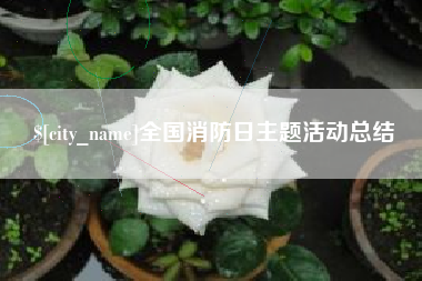 阳谷全国消防日主题活动总结