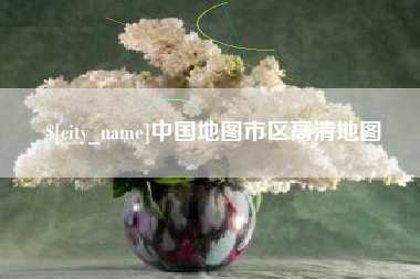 阳谷中国地图市区高清地图