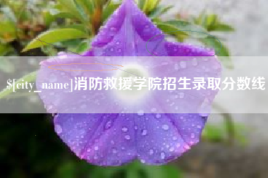 阳谷消防救援学院招生录取分数线