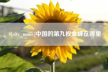 阳谷中国的第九枚金牌在哪里