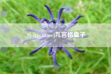 阳谷九宫格盘子