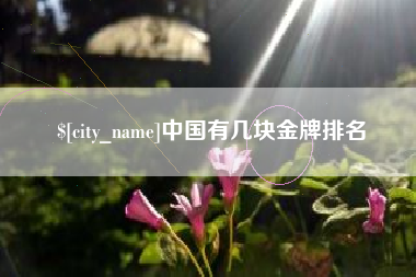阳谷中国有几块金牌排名